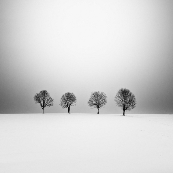 Four Trees