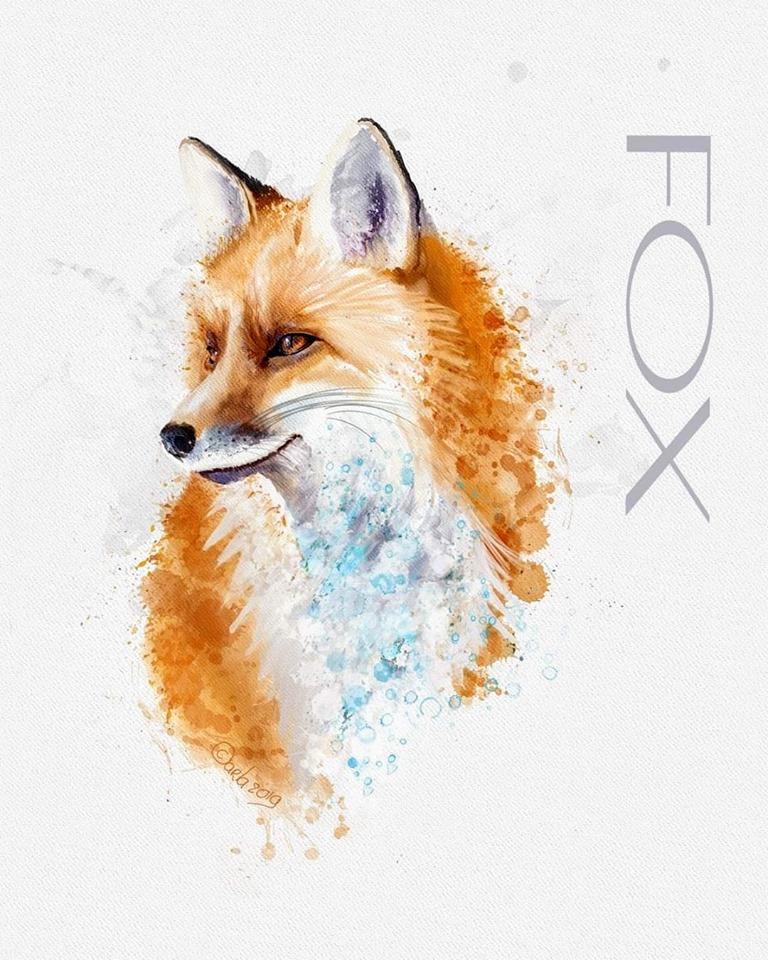 Fox aquarel
