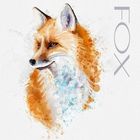 Fox aquarel