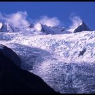 Fox Glacier 2004