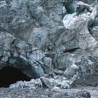 Fox Glacier