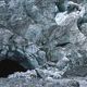 Fox Glacier