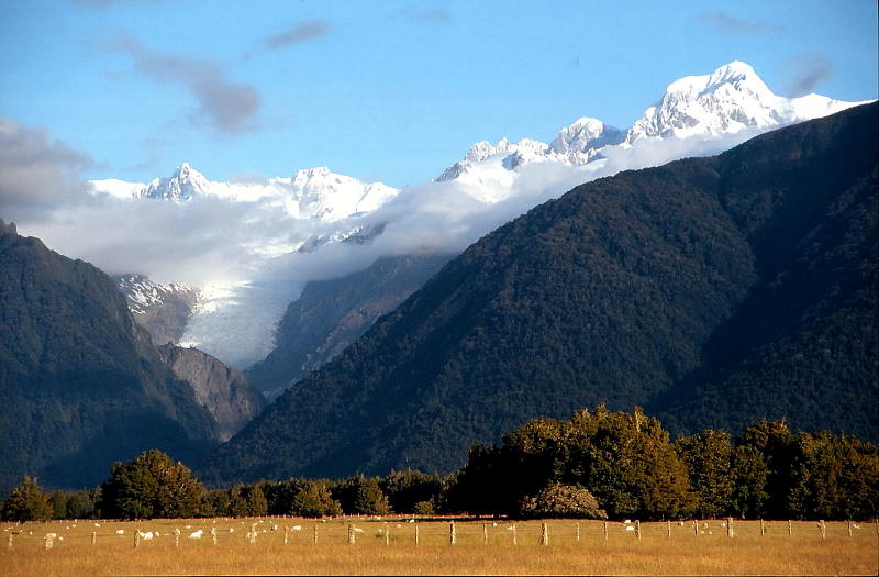 Fox Glacier