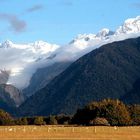 Fox Glacier