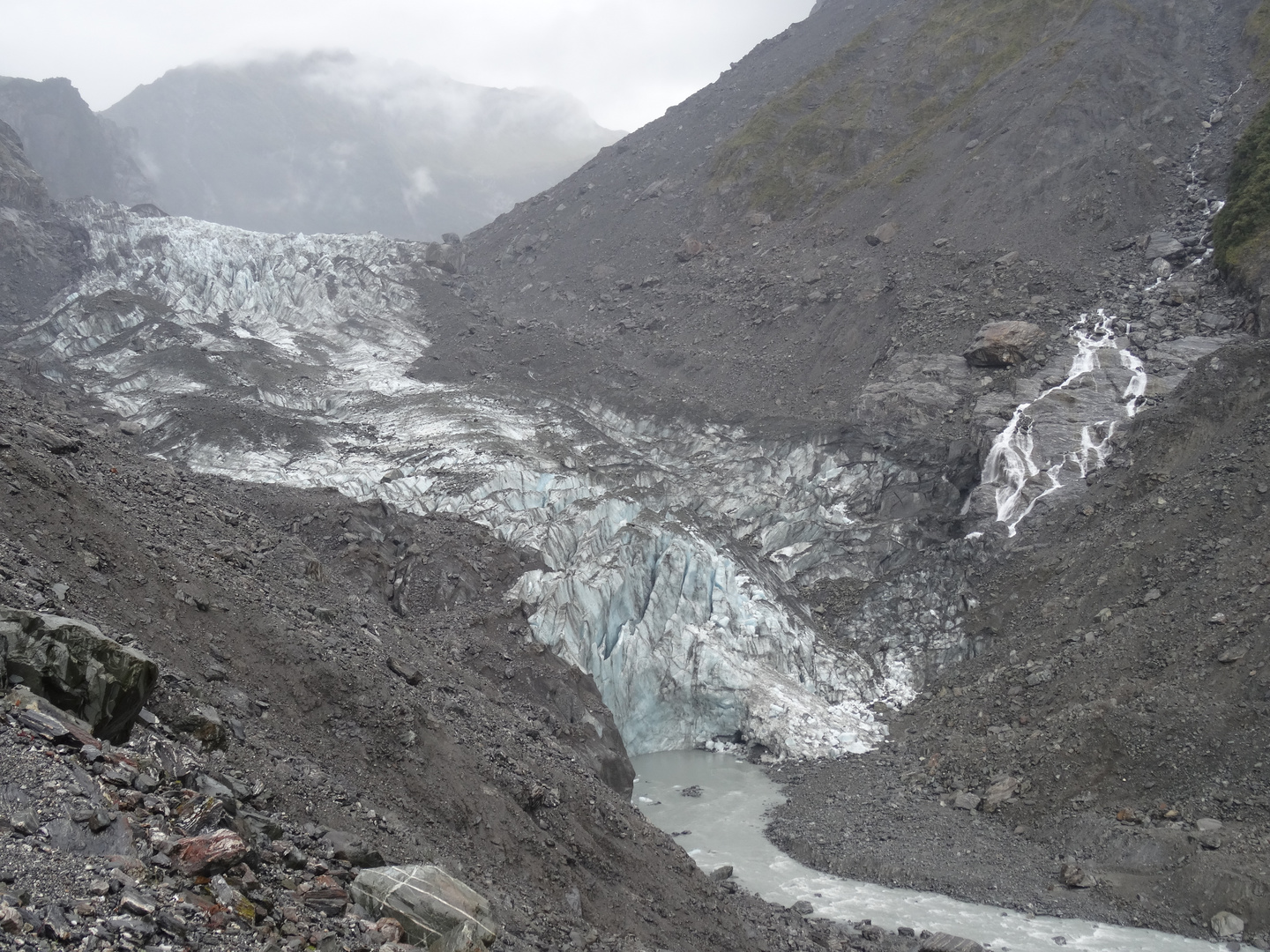 Fox Glacier Neuseeland