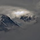 Fox Glacier - New Zealand