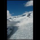 Fox Glacier, NZ