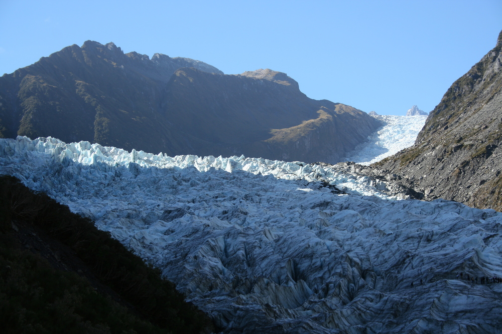 Fox glacier NZ