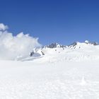 Fox Gletscher Neuseeland