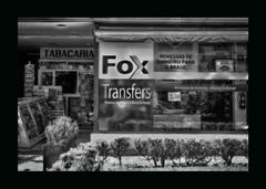 Fox Transfers