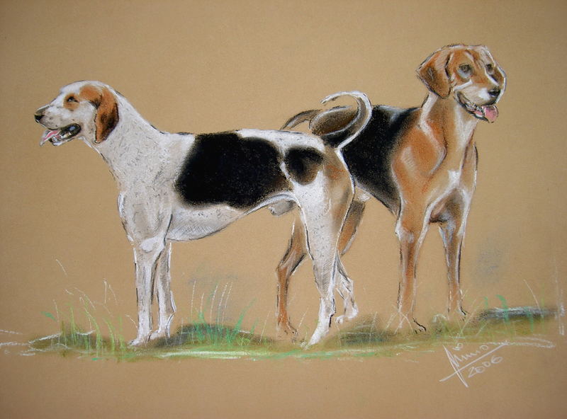 Foxhounds