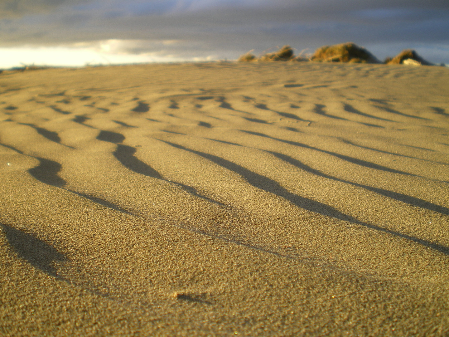 Foxton Beach Neuseeland