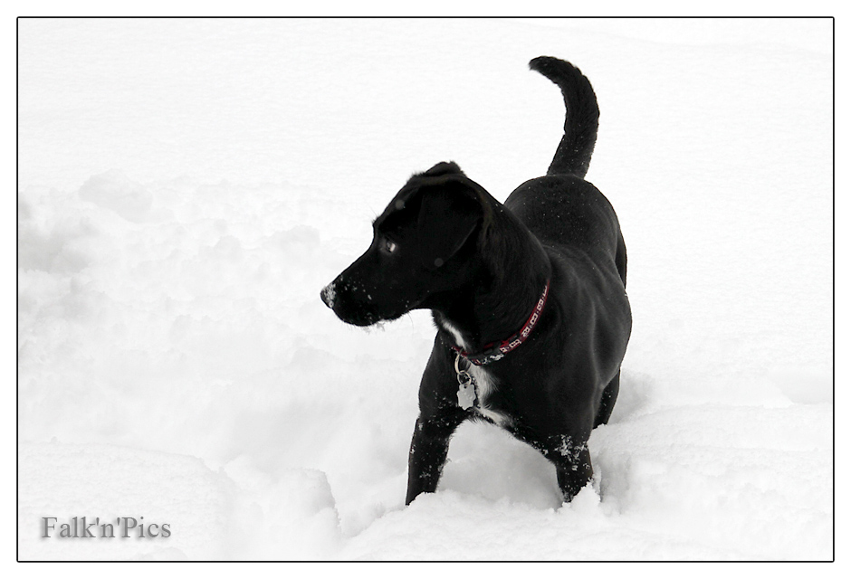 -=fp: spielen im Schnee