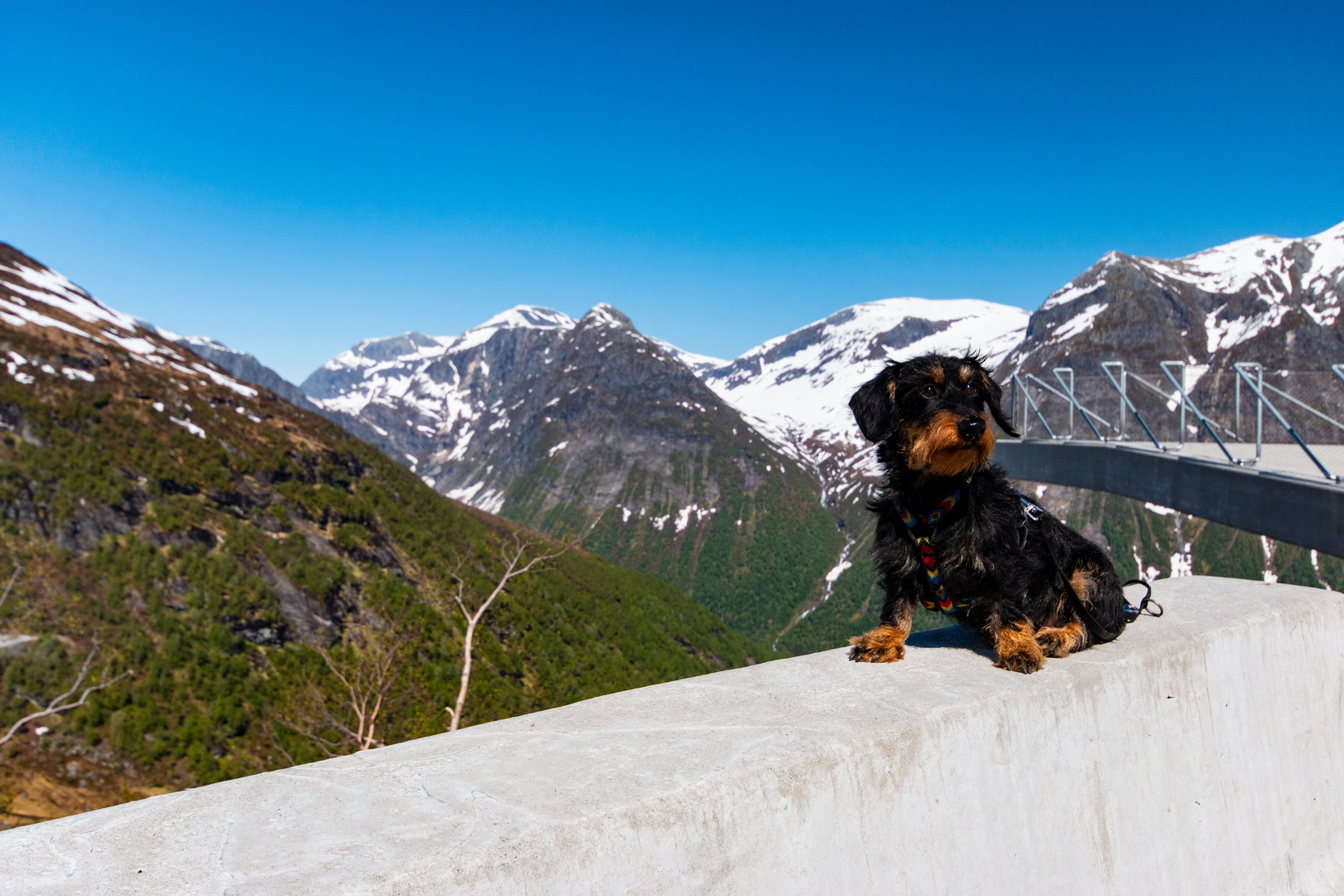 Fr. Rommel in Norwegen