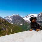 Fr. Rommel in Norwegen