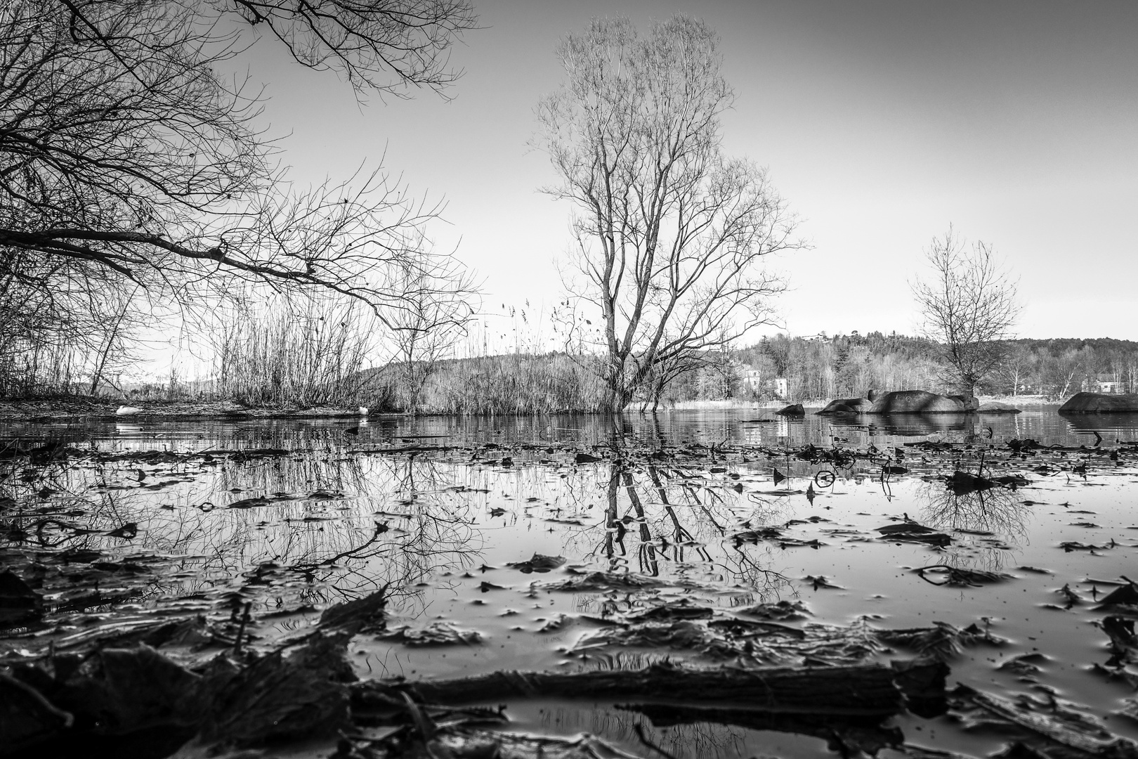 Fra il lago e la terra