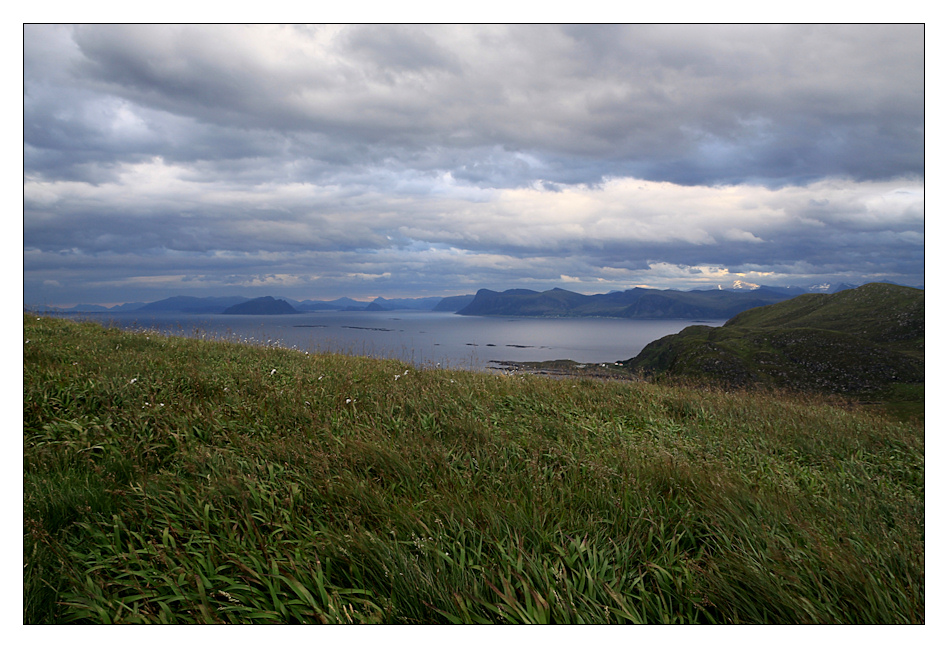 Fra Runde til Ålesund