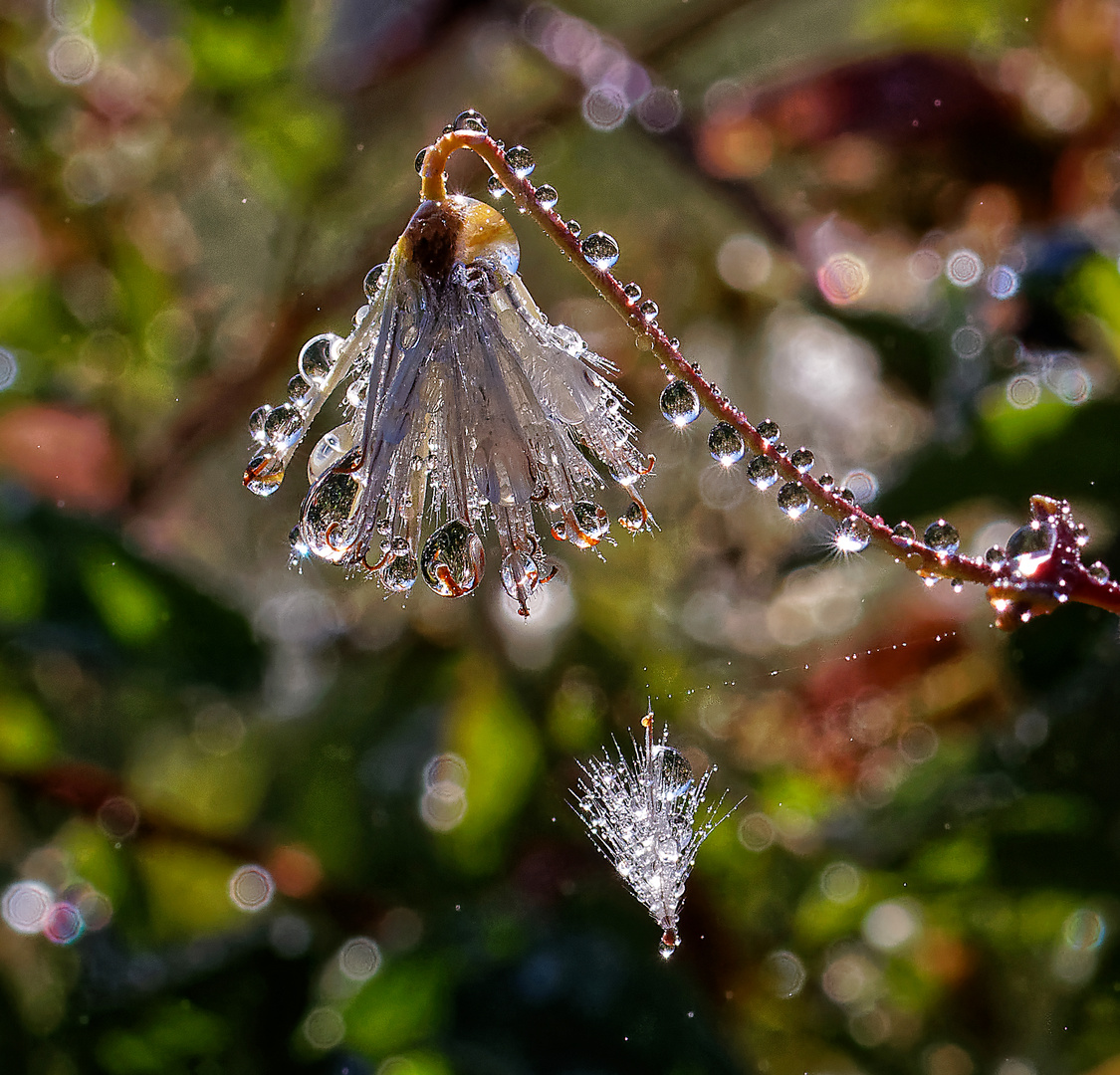 Fraîcheur matinale après des pluies nocturnes.