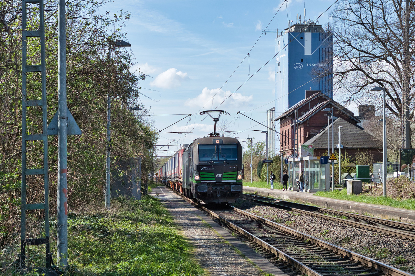 Frachtbahn-Vectron in Jüchen - oder: Das Dschungelbuch lässt grüßen