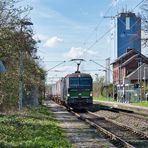 Frachtbahn-Vectron in Jüchen - oder: Das Dschungelbuch lässt grüßen