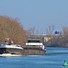 Frachter GUTTENBERG (2) -typisch Rhein-Main