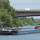 Frachter MARIE auf dem Main Höhe Ölhafen Raunheim