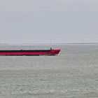 Frachter "Trine" auf der Westerems zwischen Borkum und Rottumeroog seewärts fahrend am 16.03.18