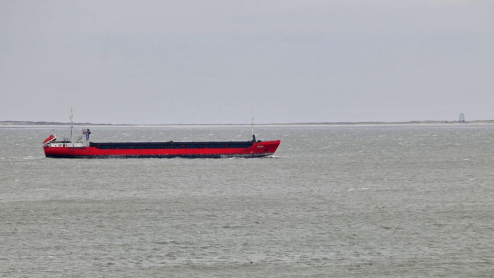 Frachter "Trine" auf der Westerems zwischen Borkum und Rottumeroog seewärts fahrend am 16.03.18