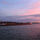 Frachtschiff auf dem Rhein