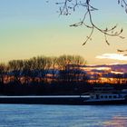 Frachtschiff auf dem Rhein bei Sonnenuntergang