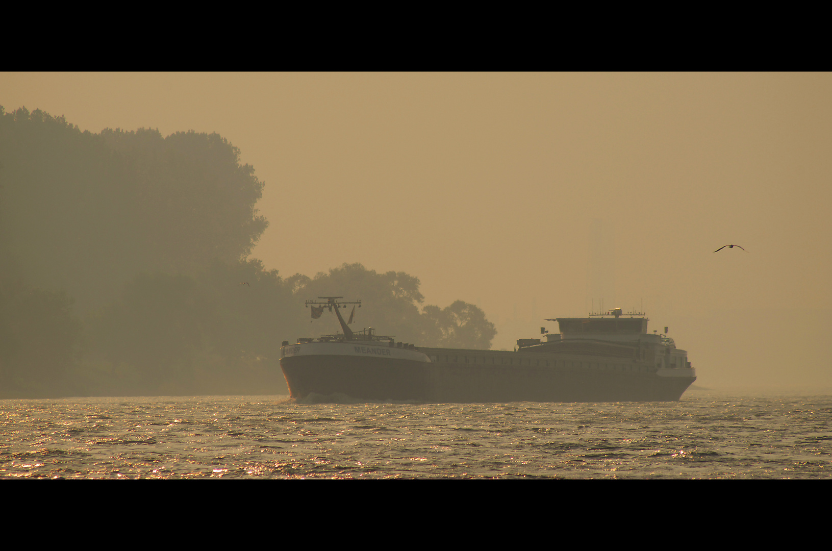 Frachtschiff auf dem Rhein