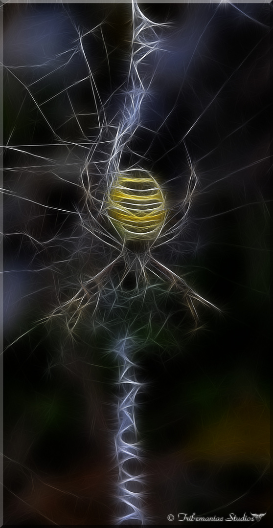 Fractal Spider