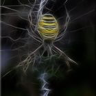 Fractal Spider