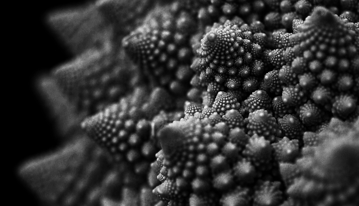 fractal veggie