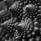 fractal veggie
