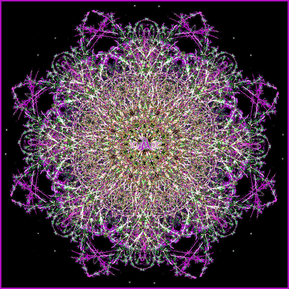 fractal_flower_mandala