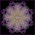 fractal_flower_mandala