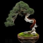 Fractalius-Bonsai