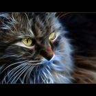 Fractalius Cats