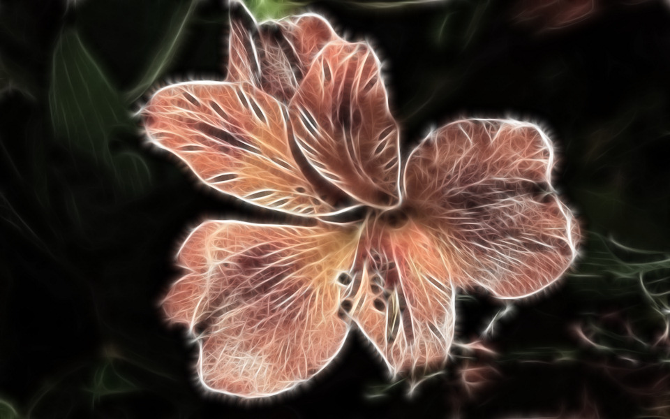 Fractalius flower