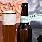 FRÄNKISCHE BIERPROBE 7: Der Sommer kann kommen