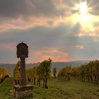 Fränkische Impressionen (1) - Bildstock in den Weinbergen bei Fahr am Main