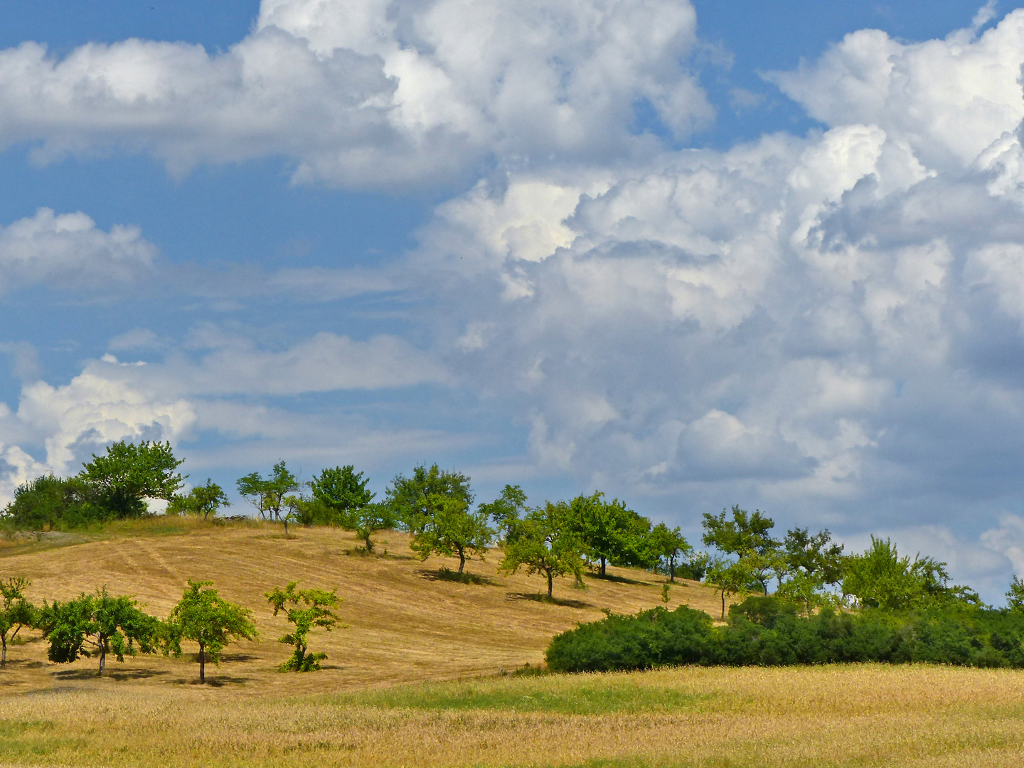 Fränkische Landschaft 1