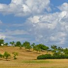 Fränkische Landschaft 1