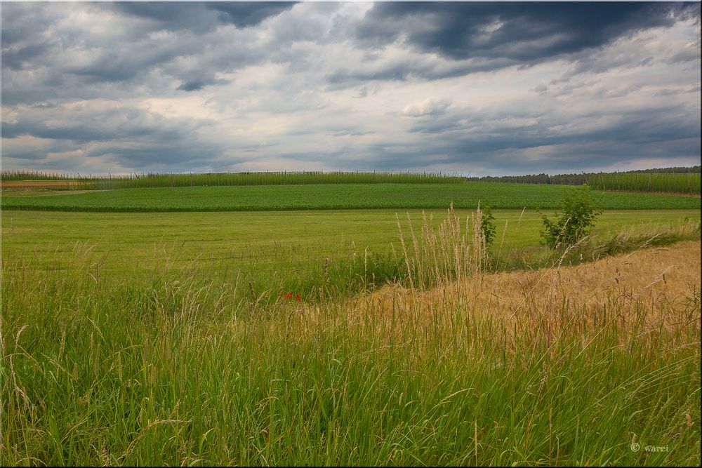 Fränkische Landschaft