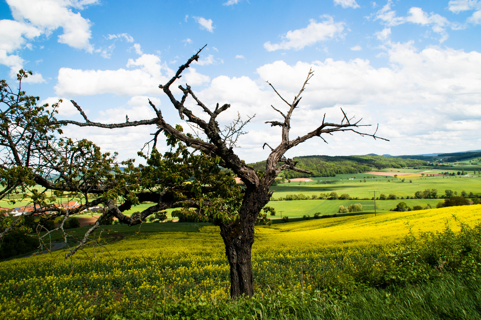 fränkische Landschaft