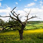 fränkische Landschaft