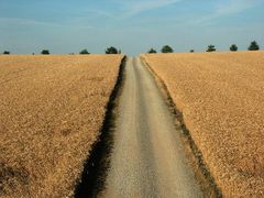 Fränkische Landschaft