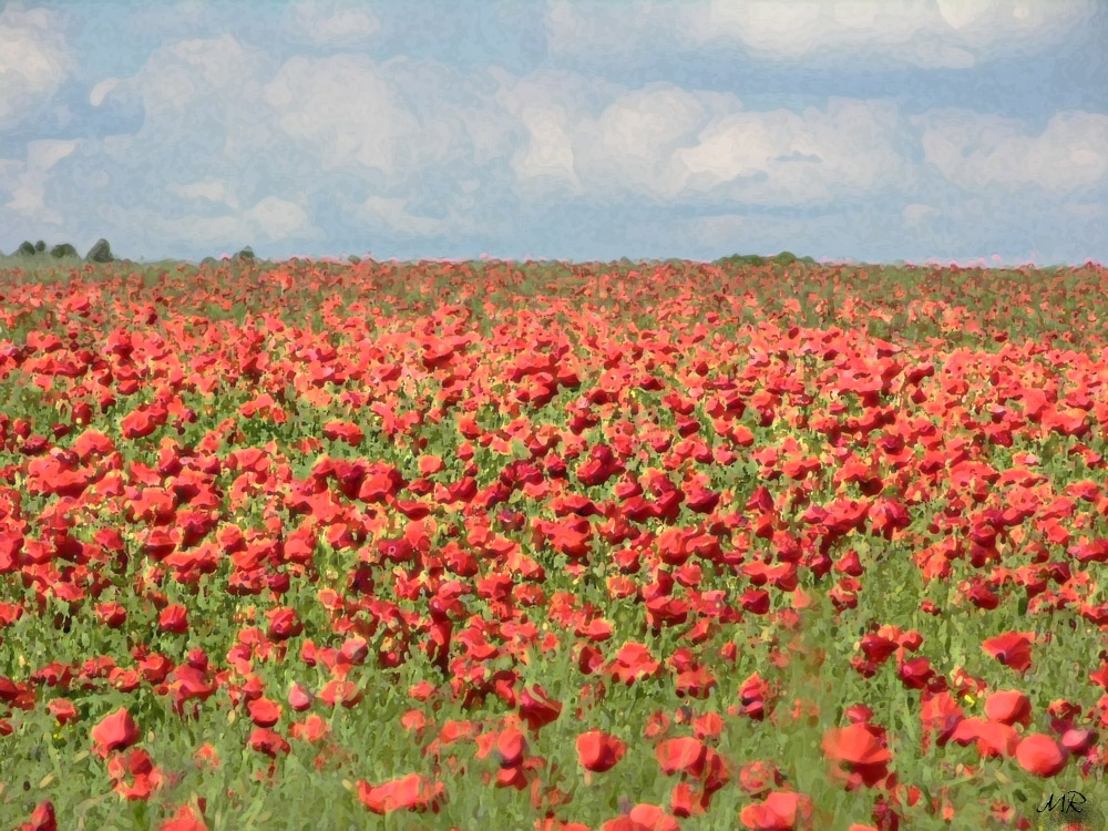 Fränkische Landschaft mit Mohn