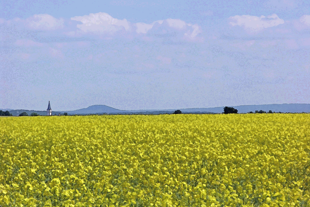 Fränkische Landschaft mit Raps